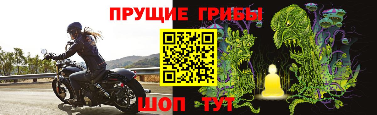 Артёмовский  Псилоцибиновые грибы GOLDEN TEACHER  Вход с VPN 