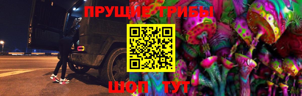 Псилоцибиновые грибы Psilocybine cubensis Артёмовский